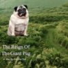 The Reign Of The Giant Pug