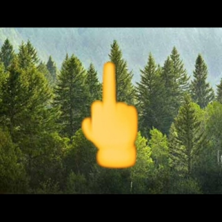 F*CK YOUR PINE TREES