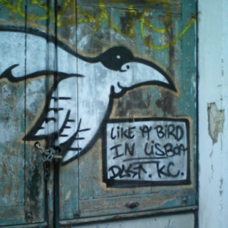 Like a bird in Lisboa 