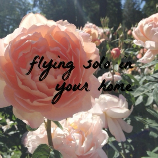 FLYING SOLO IN YOUR HOME