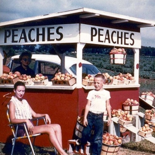 peaches n beaches