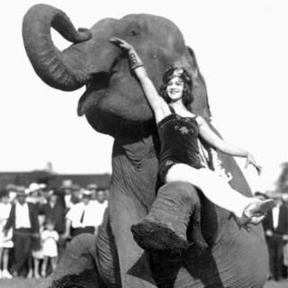 Elephant Love Story: a mix inspired by “Water for Elephants” 