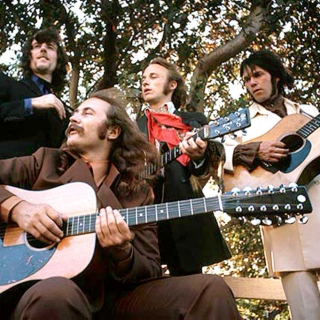 The Continuing Adventures of Crosby, Stills, Nash and Young 
