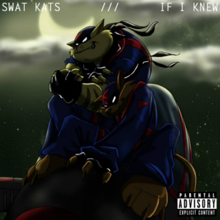 SWAT Kats' If I Knew (Explicit)