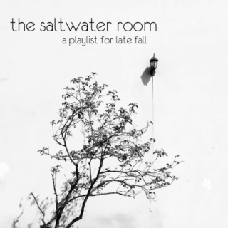 the saltwater room
