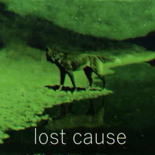 lost cause
