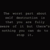 Show Me How You Self Destruct