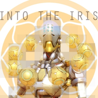 Into the Iris