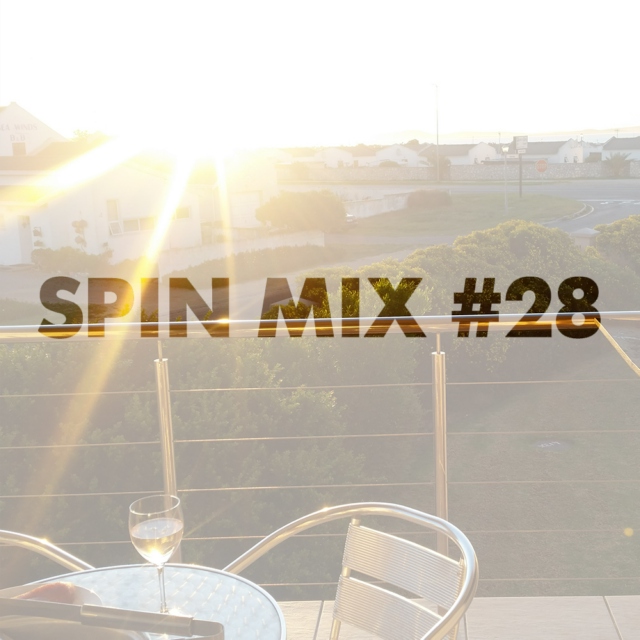 SPIN MIX #28