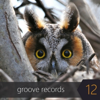 Groove Records 12