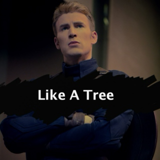 Like A Tree