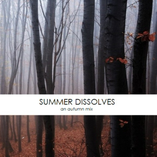summer dissolves