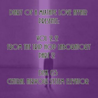 053: Central Nervous System Elevator [From The Trip-Hop Laboratory - Part 2 : Disk 05] 