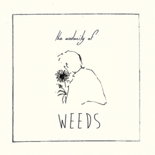 - the audacity of weeds -