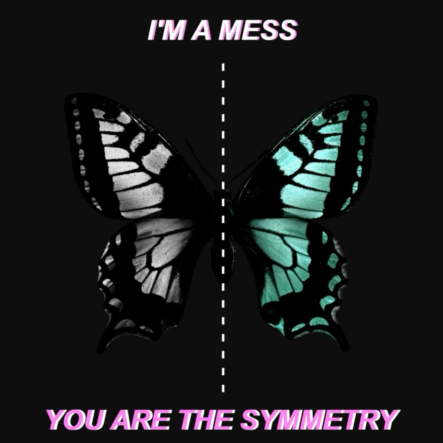 im a mess, you are the symmetry