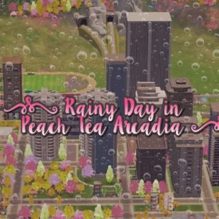 Rainy Day in Peach Tea Arcadia