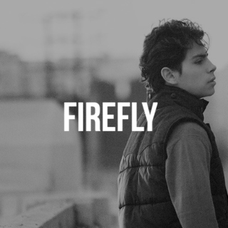 firefly;