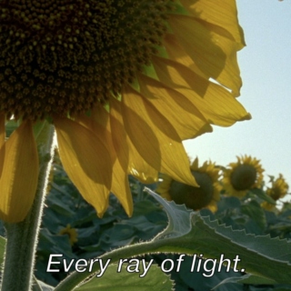 every ray of light