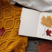 Autumn Leaves & Cable-Knit Sleeves