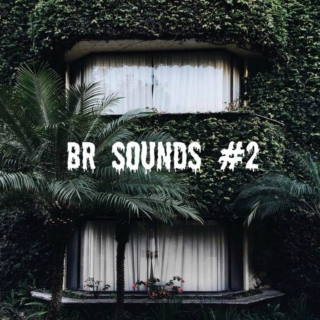 BR SOUNDS 2