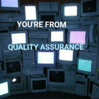 You're From Quality Assurance