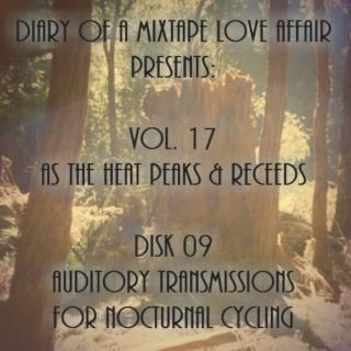 269: Auditory Transmissions for Nocturnal Cycling [Vol. 17 - As The Heat Peaks & Recedes: Disk 09] 