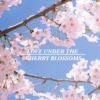 Love Under the Cherry Blossoms