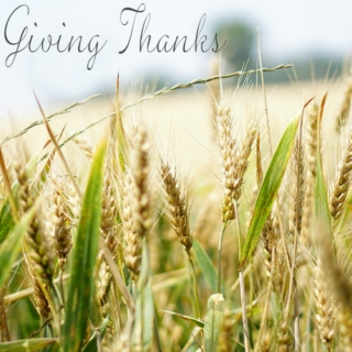 Midweek Hype: Giving Thanks