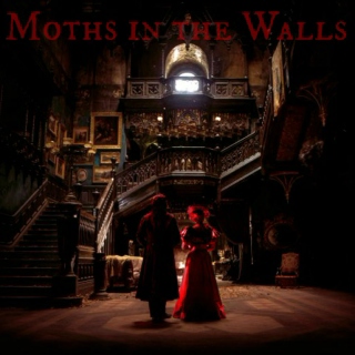 Moths in the Walls
