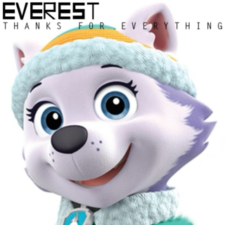 Everest's Thanks For Everything