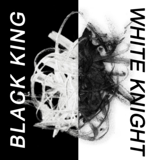 black king and white knight