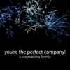 you're the perfect company!