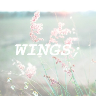 wings;