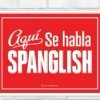 Se Habla Spanglish
