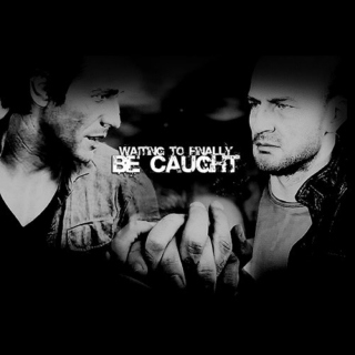 waiting to finally be caught // a sam/charlie mix
