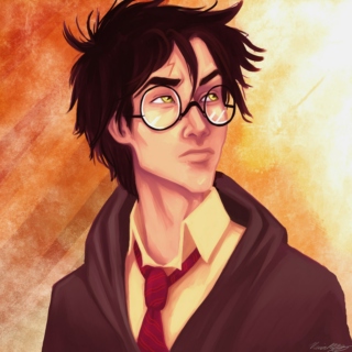 Mr. Harry Potter