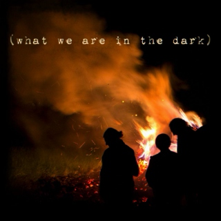 What We Are in the Dark 