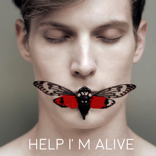 Help I'm Alive: Daniel Molloy