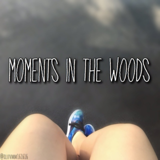 Moments in the Woods