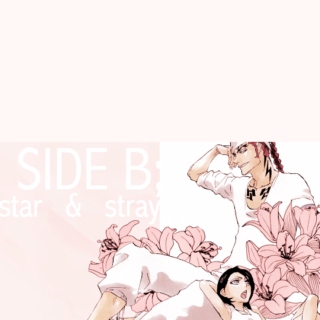 side b; star & stray