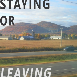 Staying or Leaving