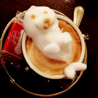 クールinカフェ ”cool in café”