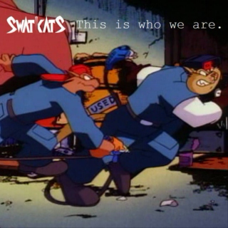 SWAT Kats' This is who we are.