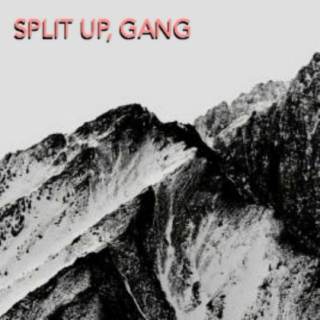 split up, gang
