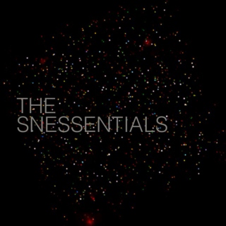the snessentials