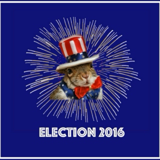 ELECTION 2016