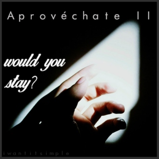 aprovéchate II: would you stay?