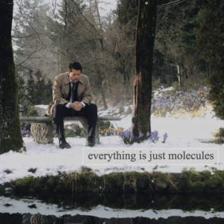 everything is just molecules