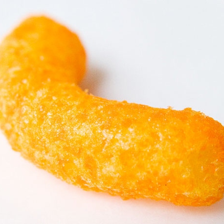 Reign of the racist cheeto 
