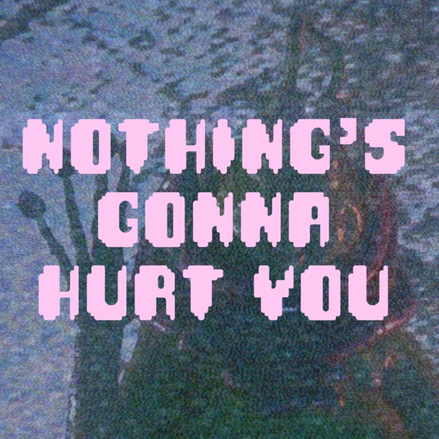 Nothing's Gonna Hurt You